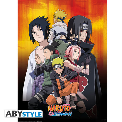 Naruto Shippuden - Shinobi Boxed Poster Set