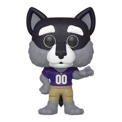 POP College: UW - Harry the Husky